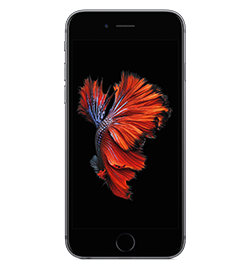 Apple® iPhone 6 - Space Gray - 16GB - Prepaid